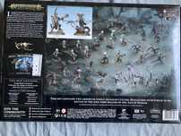 Hedonites of Slaanesh Polowa Shadow & Pain