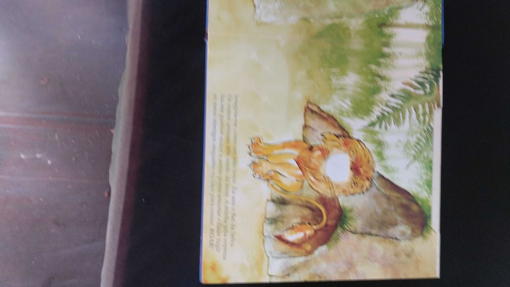 Livro de crianças com desenhos para pôr fotos da criança 15 euros