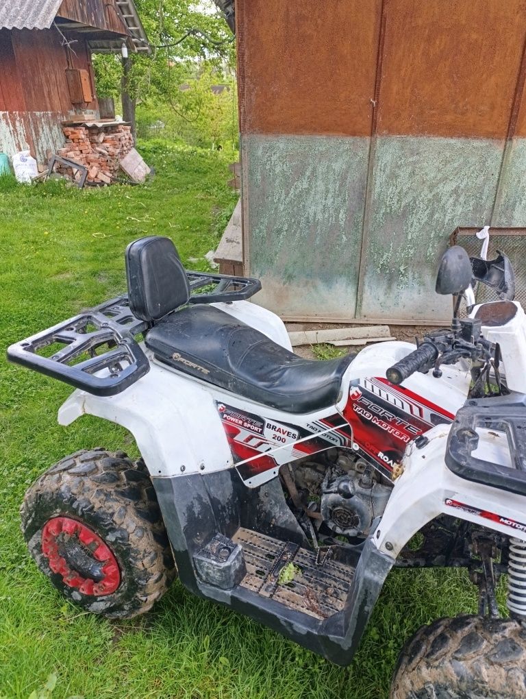 Forte braves 200