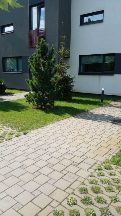 Оренда таунхауса, будинку, котеджа Горенечи Без%