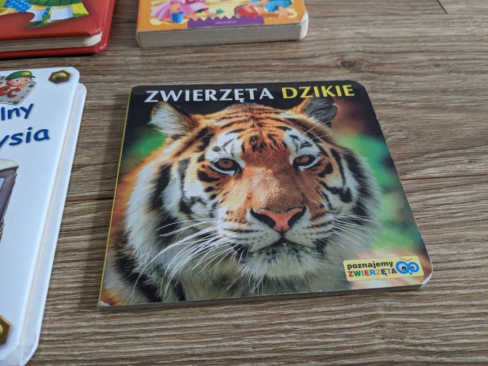 Zestaw książek dla dzieci