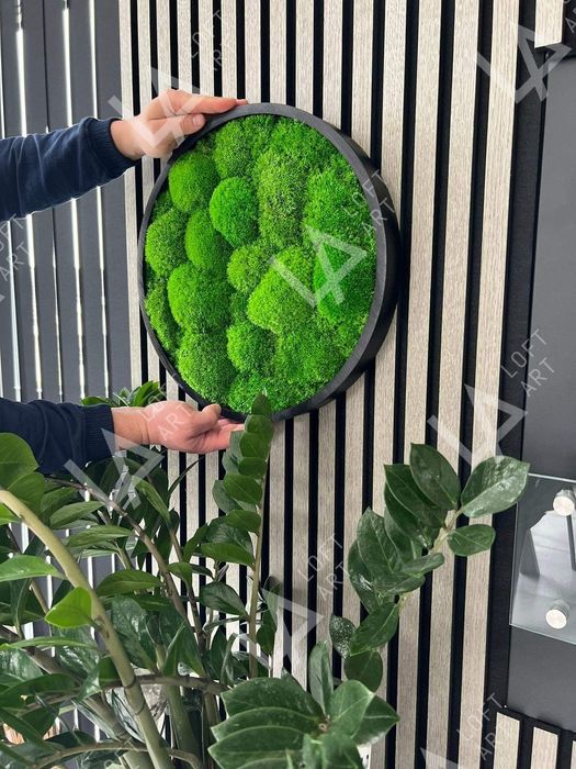 Картина из мха, Фитокартина, Панно со мхом, Настенный декор