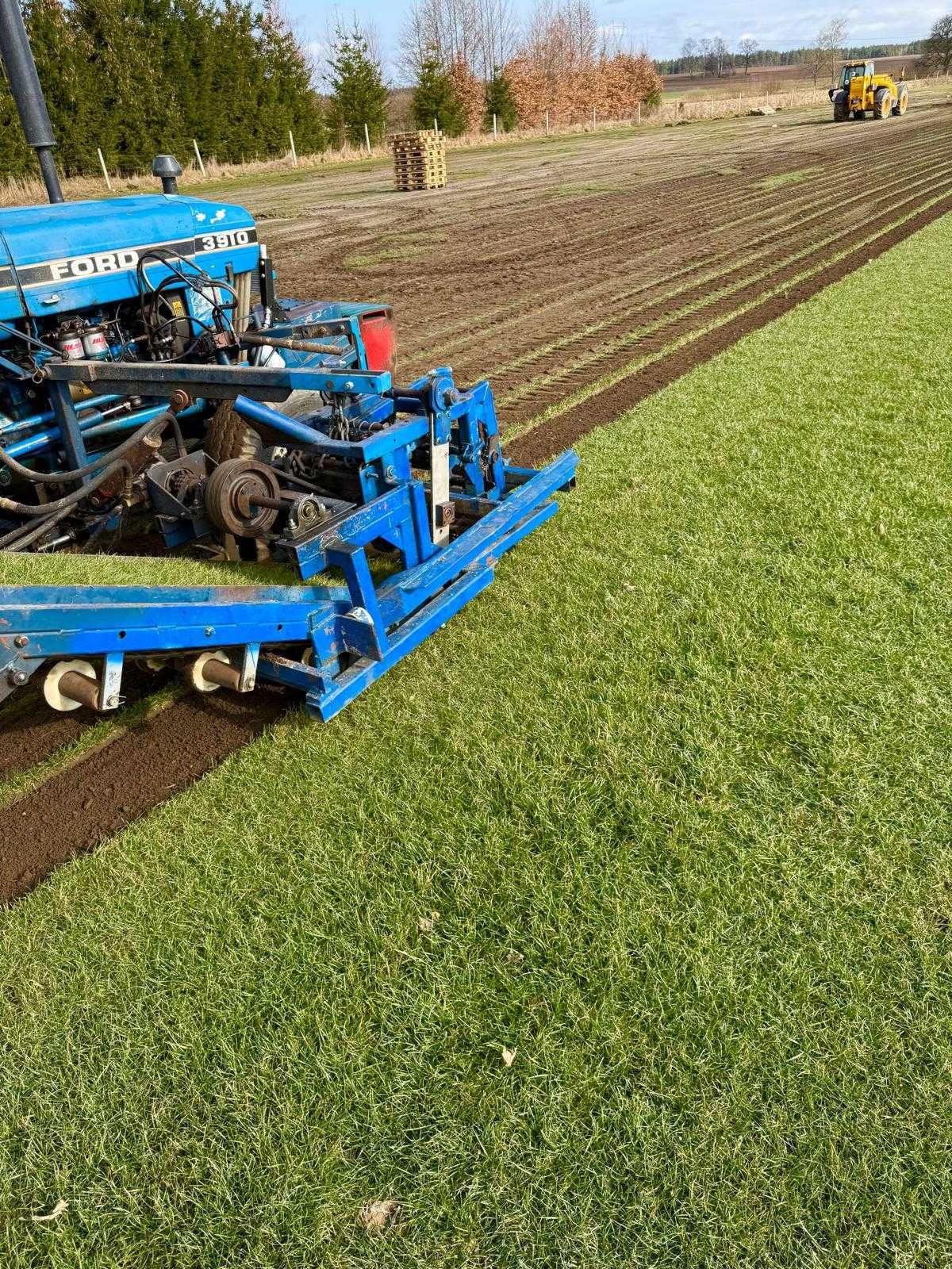 Trawa Z Rolki/ PRODUCENT / Transport
