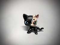 Lps custom shorthair