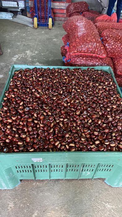 castanhas de qualidade