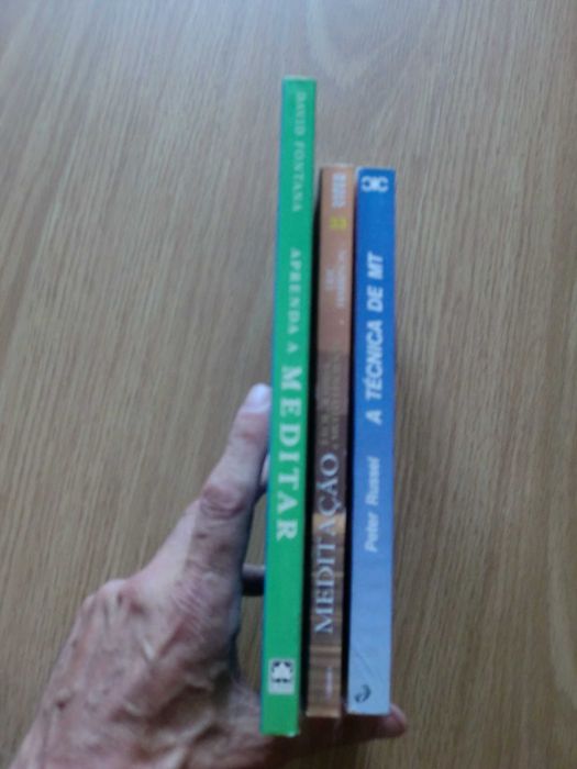 Meditação - Aprendizagem e técnica - LOTE 3 LIVROS
