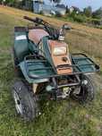 Quad Polaris 300