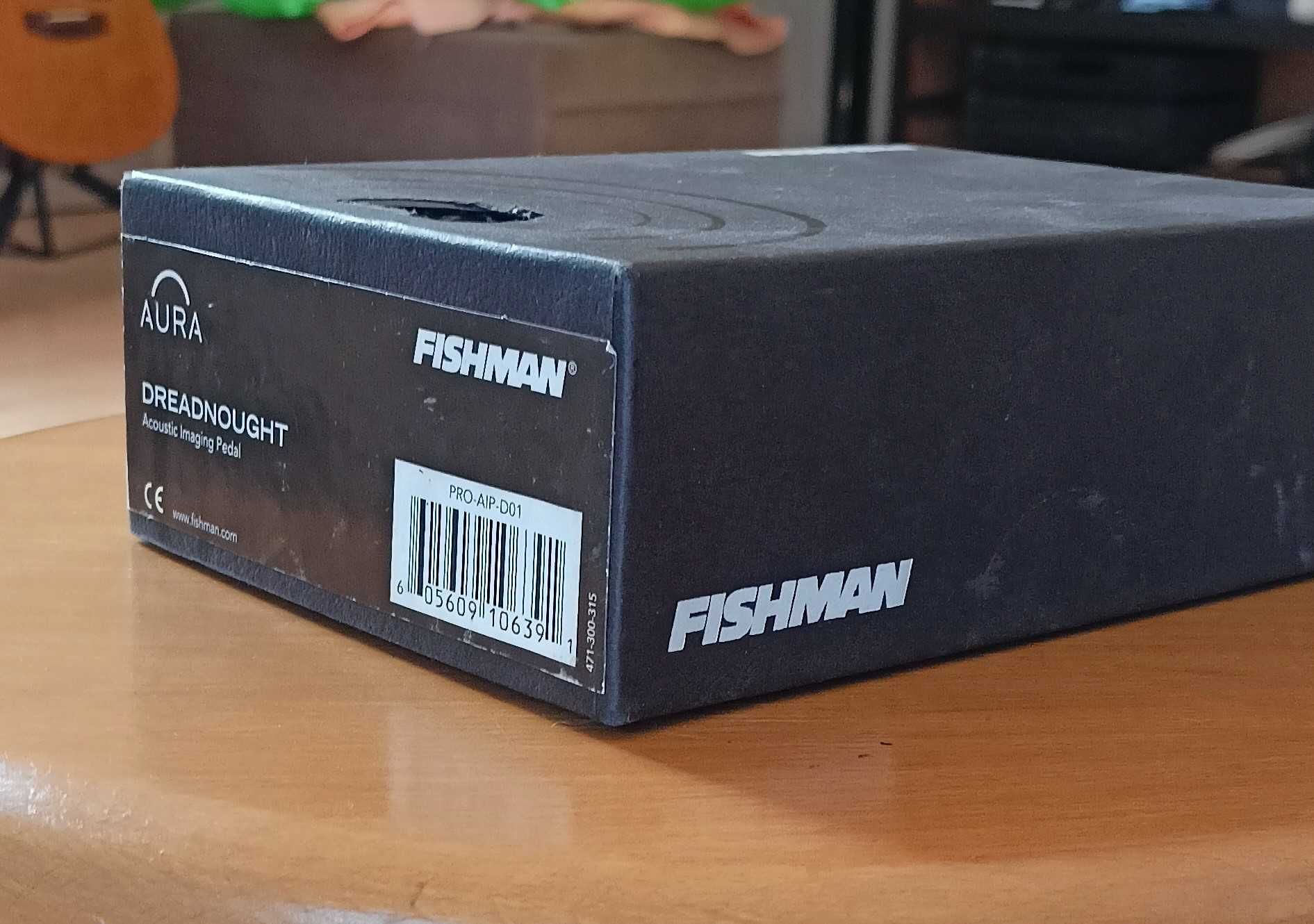 Fishman Aura Acoustic Imaging Dreadnought