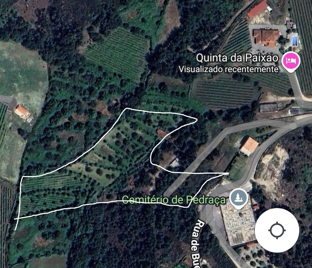 Terreno com vinha e uma casa antiga