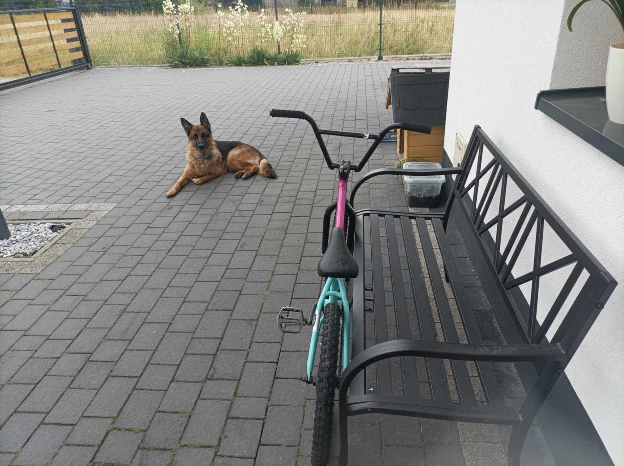Rower BMX Wyczynowy