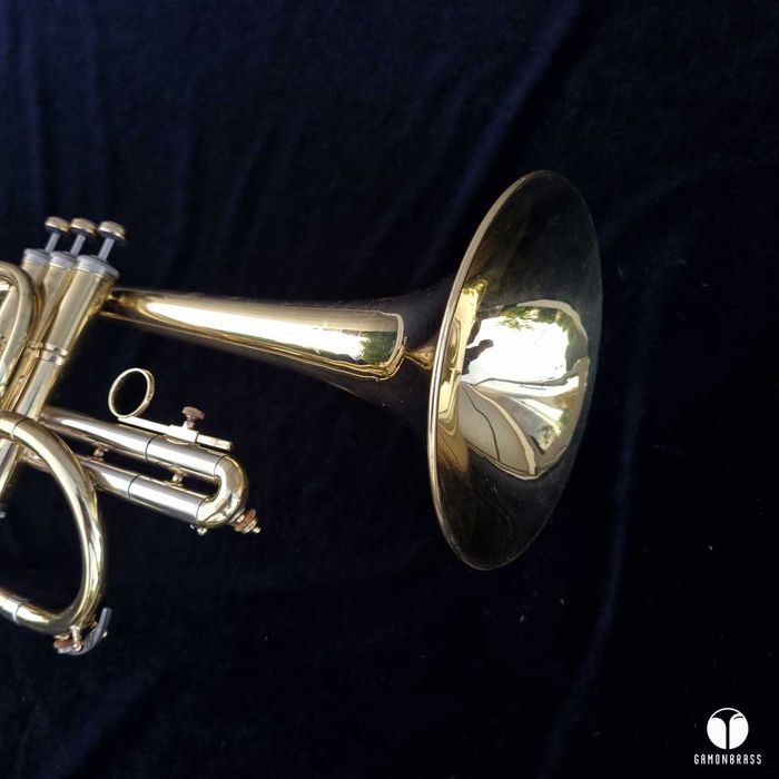 The Martin Committee flugelhorn Miles David Ahead ustnik gamonbrass