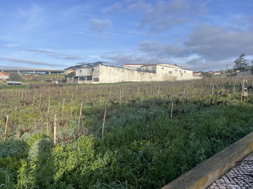 Terreno para Construção – Cadafais, Alenquer | 5.560 m²