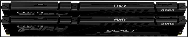 Оперативная память Kingston Fury DDR5-4800 32 GB Beast Black