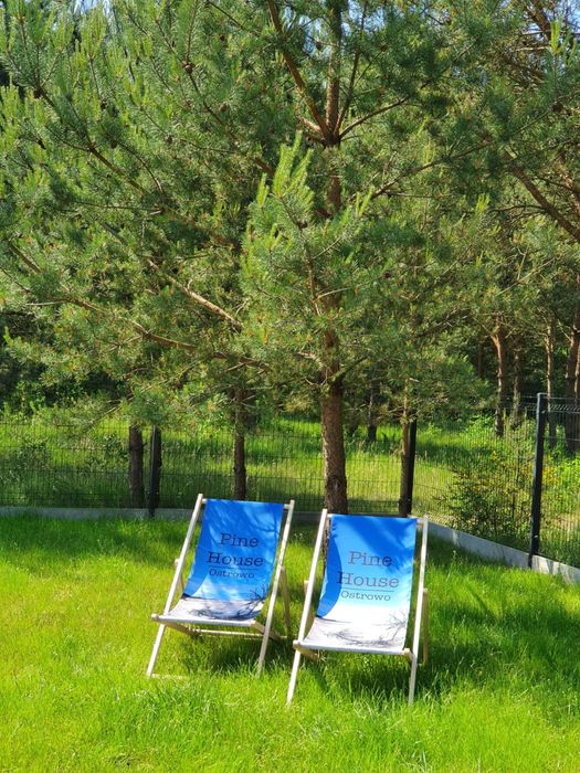 Wynajem domku Pine House Ostrowo -Jastrzębia Góra