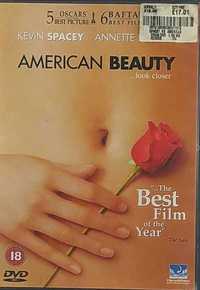 American Beauty Film Dvd