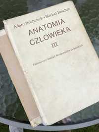 Adam Bochenek Michał Reicher tom III Anatomia Człowieka