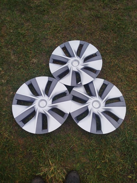 Ковпаки на теслу r19