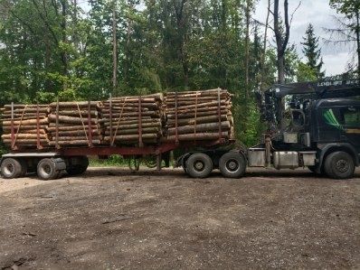 Scania 6x4 do drewna drzewa lasu dłużycy