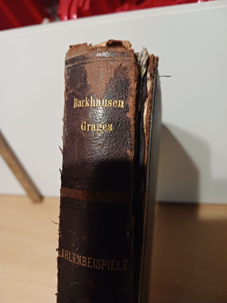 Książka Mosty i dachy 1900 niemiecka