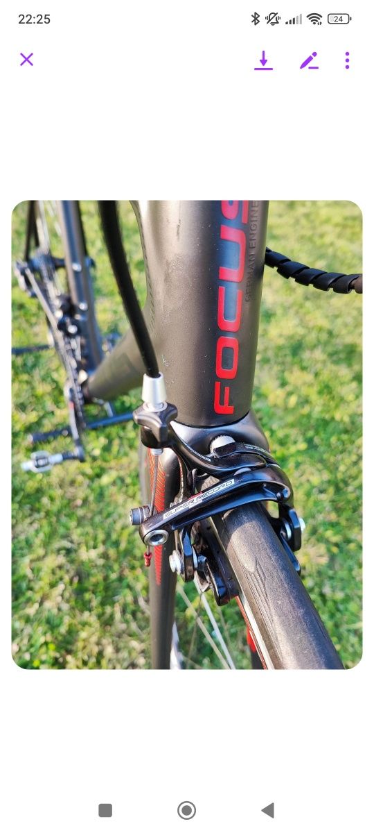 Focus izalco max