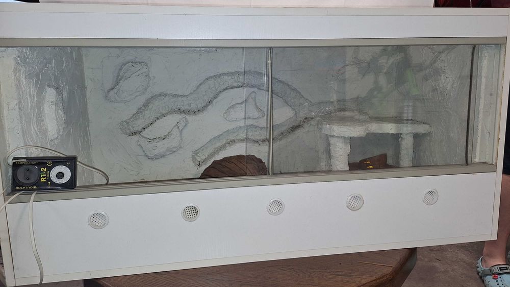 Terarium dla węża/y. + gratis