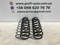 Пружини задні Volkswagen Passat B7-B8 NMS USA
