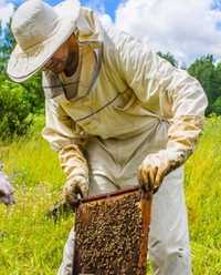 Odkłady pszczele DADANT