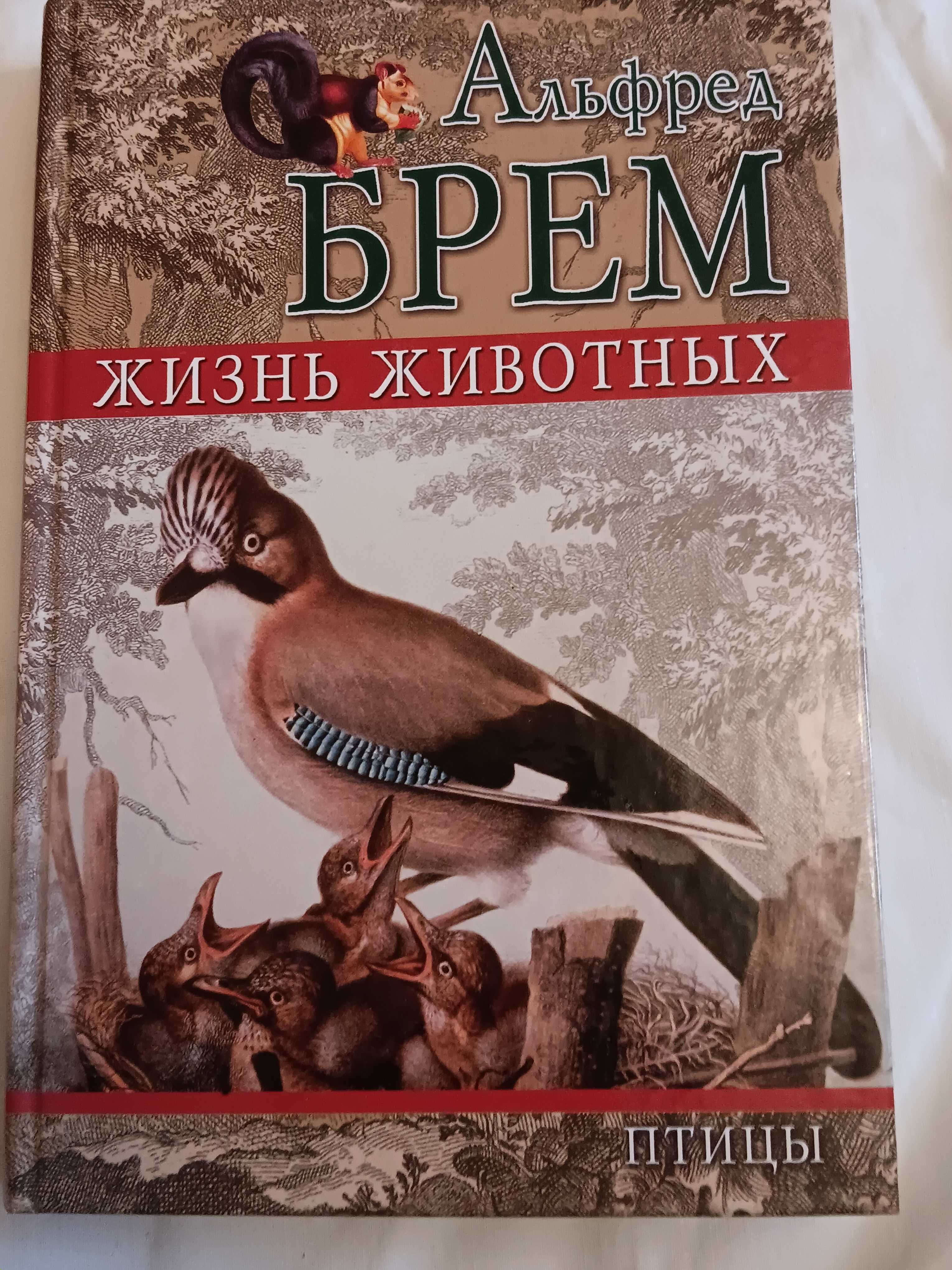 Альфред Брем. Жизнь животных 4 книги Птицы