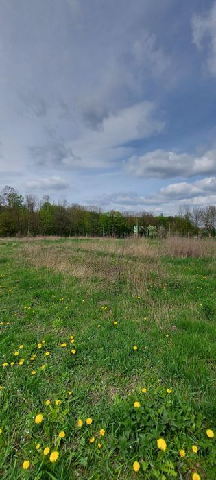 Продаж земельної ділянки в с. Велика Березовиця