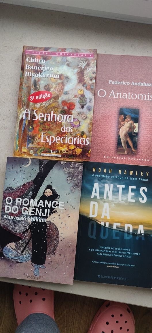 Vendo Romances e Clássicos da Literatura Internacional