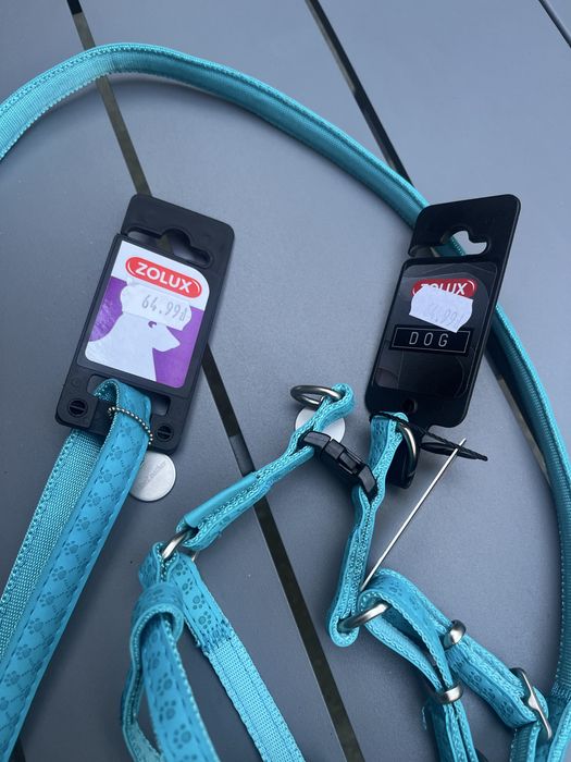 Szelki i obroża dla szceniaka/ małego psa/kota