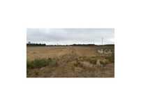 Terreno Agricola/Florestal a 2,5 Km de Budens.