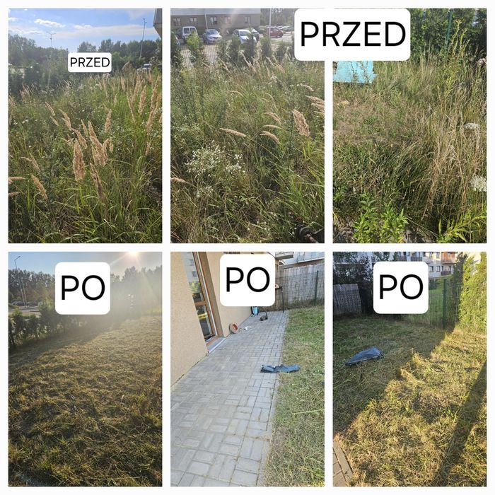 Koszenie trawy. Cały Śląsk