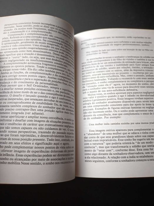 "Sonhos - Um Portal para a Fonte" por Edward Whitmont e Sylvia Perera