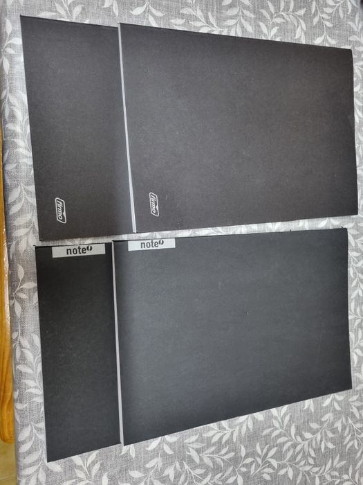 Livros fichas 10/11/12 + cadernos