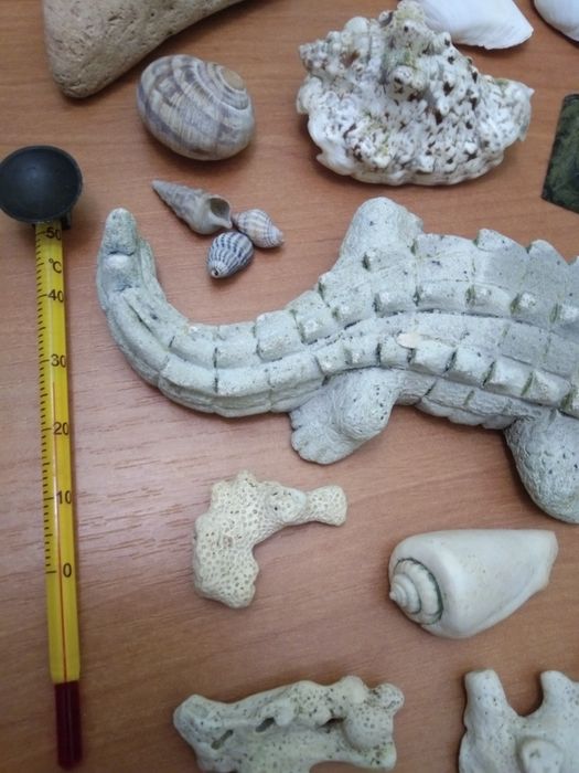 Набор,ракушки,украшения для аквариума,термометр