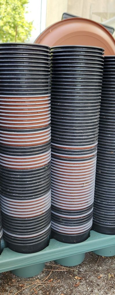 Vasos numero 12 plástico