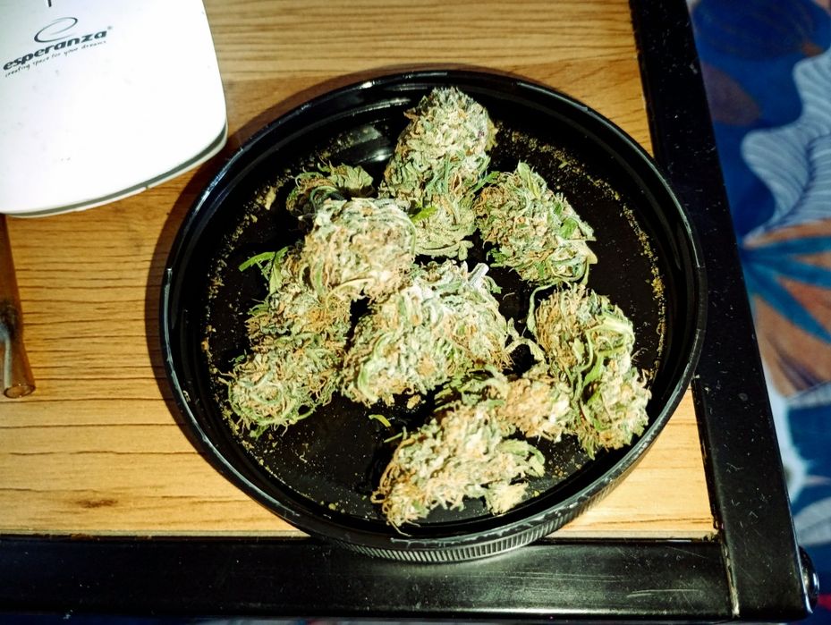 3g Godfather OG Susz Roślinny cbl cbc cbgh ! Działa !