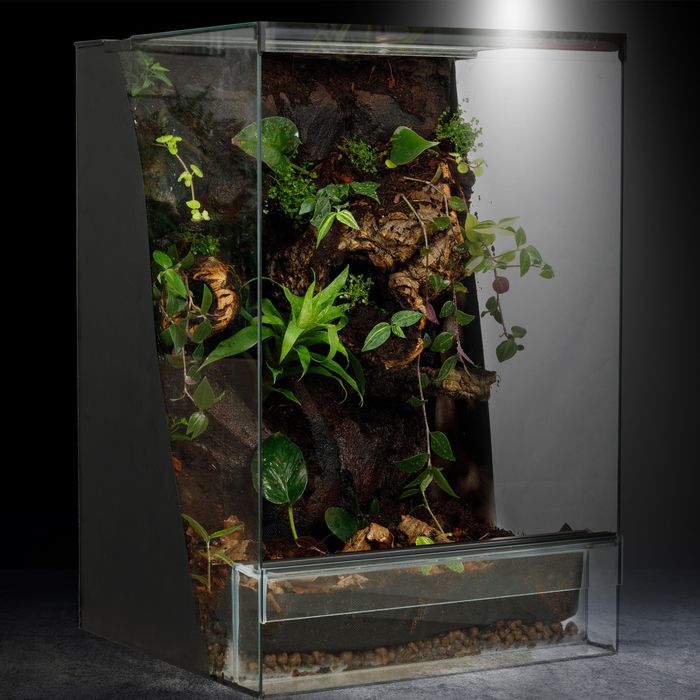Terrarium gekon tropikalne 40x40x60