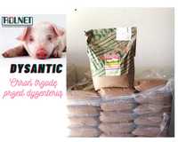 Dysantic zwalcza biegunki przeciwko dyzenterii świń 10kg