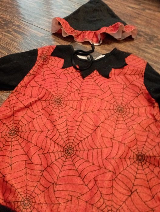 Strój karnawałowy lub halloweenowy