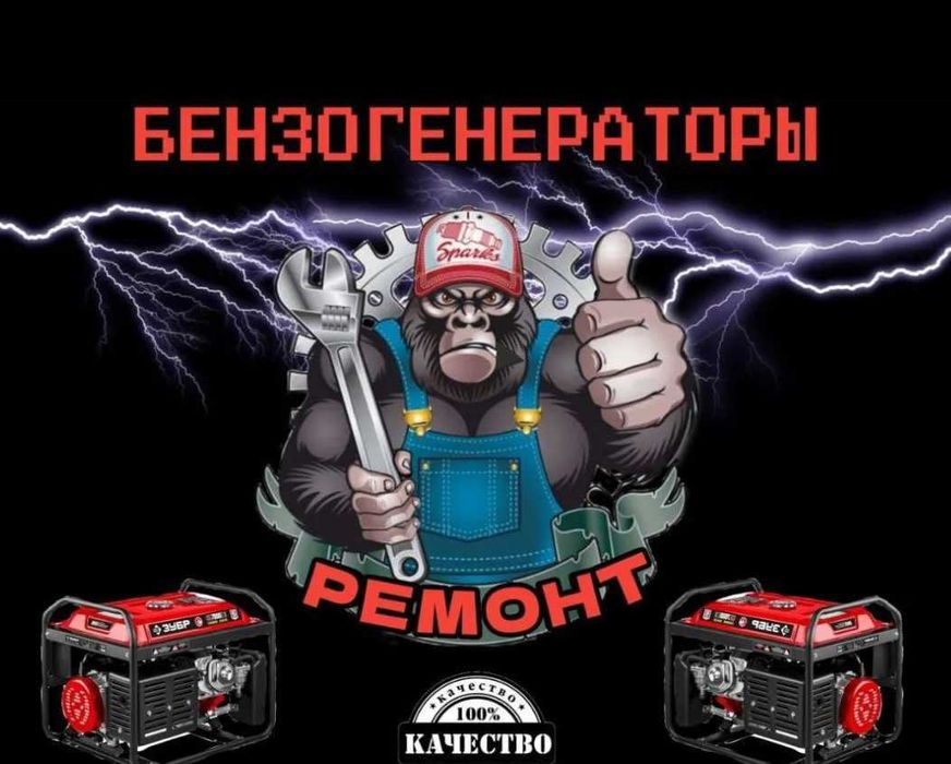 Виїзд майстра по ремонту генераторів, EcoFlow, Bluetti