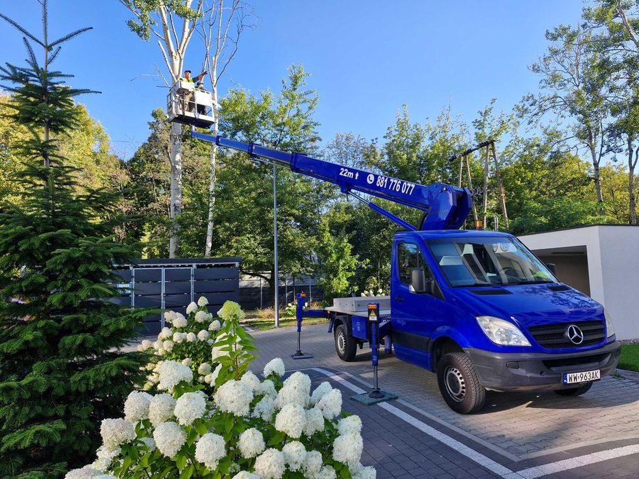 Wycinanie drzew, przycinanie, formowanie koron, Warszawa i okolice.