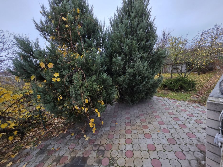 С бомбоубежищем. Читайте до конца. Левый берег. Сдам с ремонтом, гараж