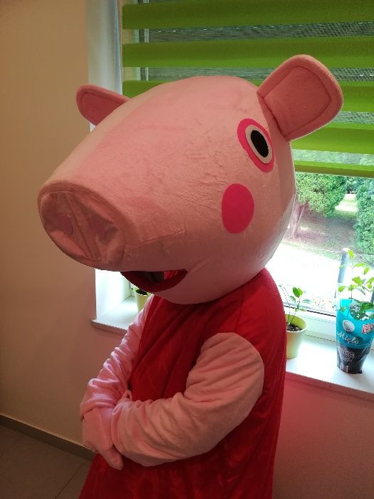 PEPPA Żywa Chodząca Maskotka Kostium Strój Przebranie