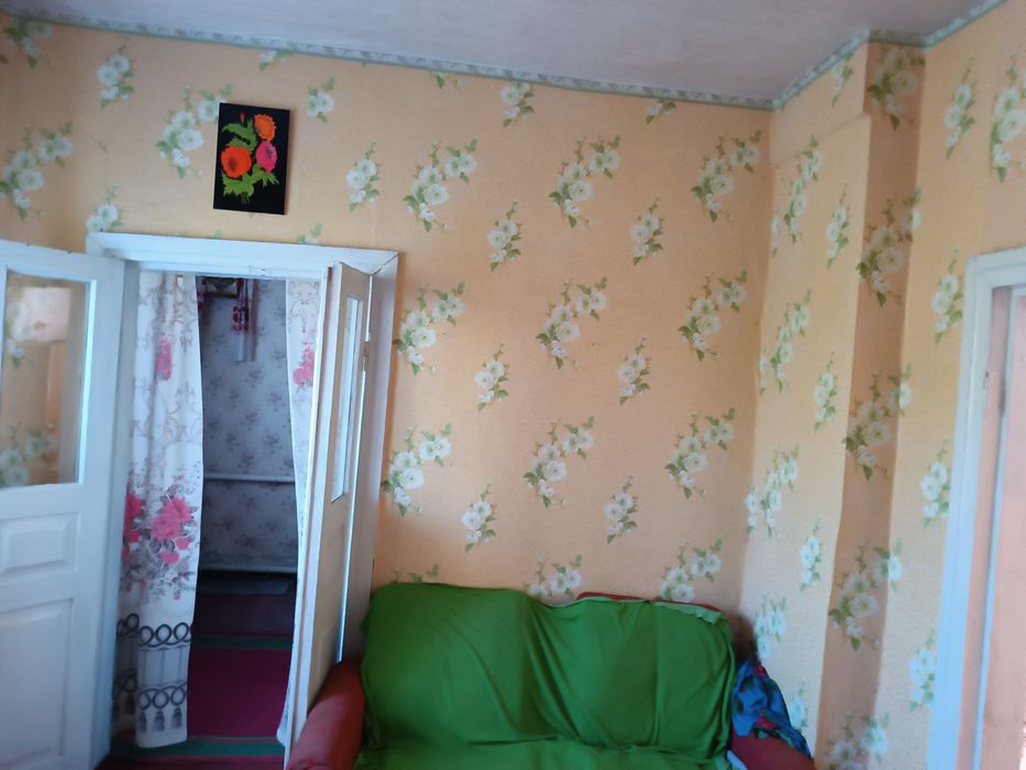 Продам будинок в селі Райдужному, Пятихатський район з опаленням