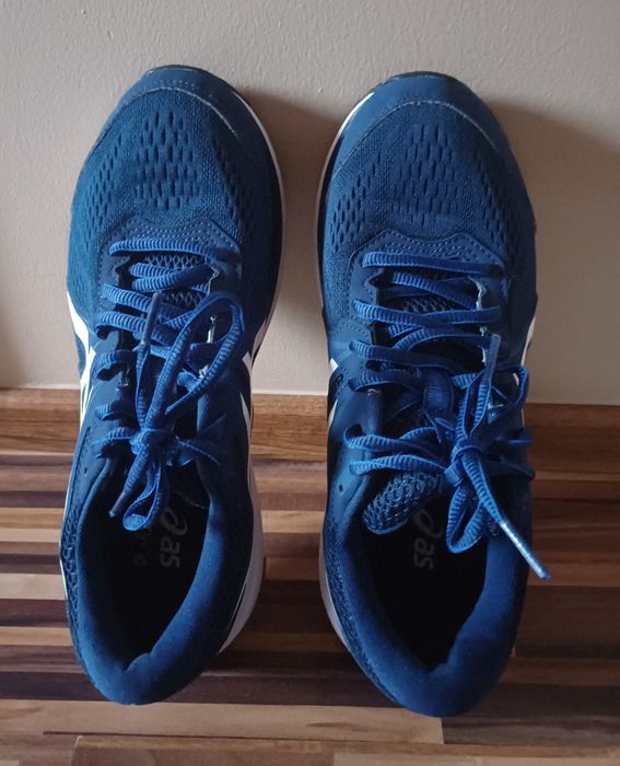 Buty do biegania męskie Asics Gel Windhawk