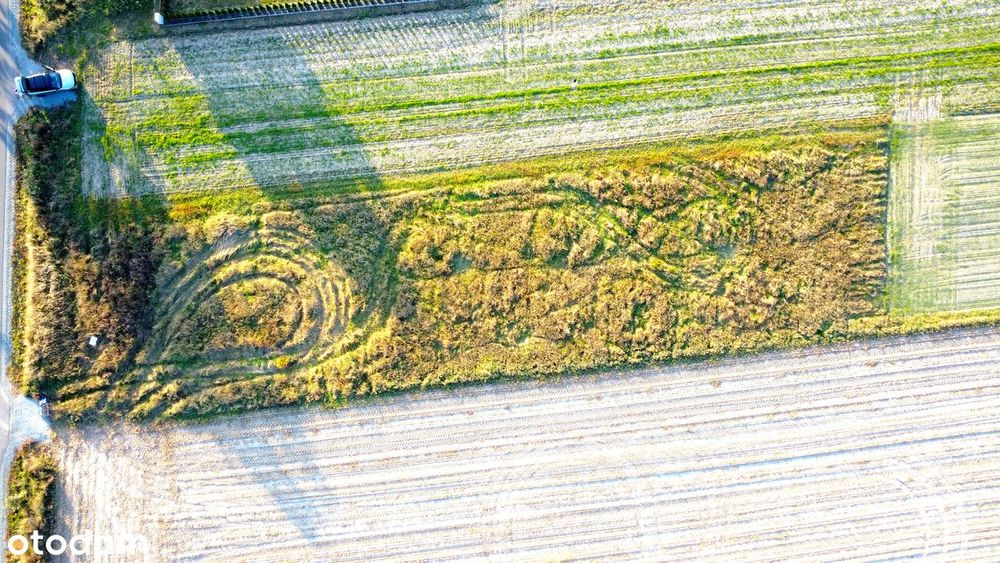 Działka budowlana 16 ar – Piękocin- Milicza – Dolina Baryczy