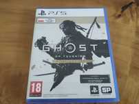 Ghost Of Tsushima Director's Cut