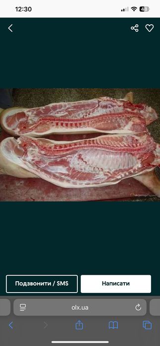 Продаж домашнього свиного м'яса Тушка 135 кг